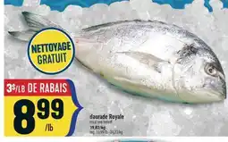 Marché Adonis DAURADE ROYALE | ROYAL SEA BREAM offer