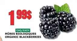 Marches Tau MÛRES BIOLOGIQUES offer