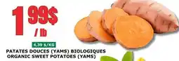 Marches Tau PATATES DOUCES (YAMS) BIOLOGIQUES ORGANIC SWEET POTATOES (YAMS) offer