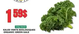 Marches Tau KALES VERTS BIOLOGIQUES offer
