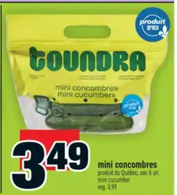 Super C MINI CONCOMBRES | MINI CUCUMBER offer