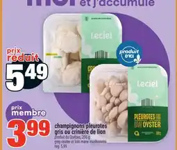 Super C CHAMPIGNONS PLEUROTES GRIS OU CRINIÈRE DE LION | GREY OYSTER OR LION MANE MUSHROOMS offer