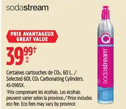 Canadian Tire Selected 60L CO2 Carbonating Cylinders offer