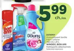 Proxim WINDEX, BON AMI Selected cleansers offer