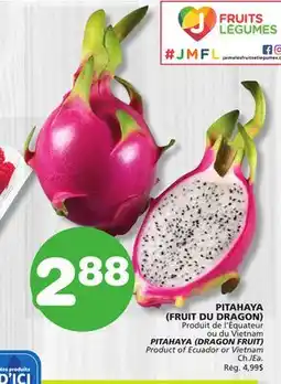 Marches Tradition PITAHAYA (DRAGON FRUIT) offer