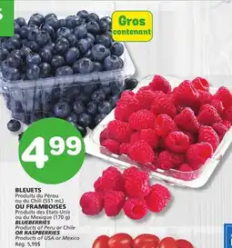 Marches Tradition BLUEBERRIES OR RASPBERRIES offer
