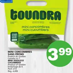 Marches Tradition MINI SEEDLESS CUCUMBERS offer