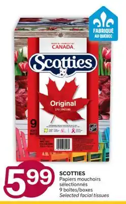 Brunet SCOTTIES Papiers mouchoirs sélectionnés offer