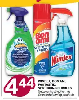 Brunet WINDEX, BON AMI, FANTASTIK, SCRUBBING BUBBLES Nettoyants sélectionnés offer