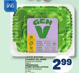 Marché Bonichoix GEN V GREENHOUSE LIVING BUTTER LETTUCE offer