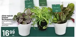 Metro PLANTE TROPICALE PREMIUM MA BOUQUETERIE | MA BOUQUETERIE TROPICAL PREMIUM PLANT offer