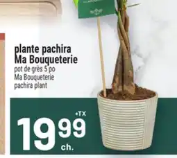 Metro PLANTE PACHIRA MA BOUQUETERIE | MA BOUQUETERIE PACHIRA PLANT offer