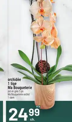 Metro ORCHIDÉE 1 TIGE MA BOUQUETERIE | MA BOUQUETERIE ORCHID 1 STEM offer