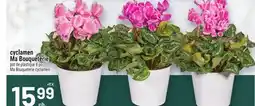 Metro CYCLAMEN MA BOUQUETERIE | MA BOUQUETERIE CYCLAMEN offer