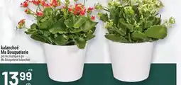 Metro KALANCHOÉ MA BOUQUETERIE | MA BOUQUETERIE KALANCHOE offer