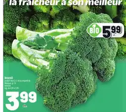 Metro BROCOLI | BROCCOLI offer