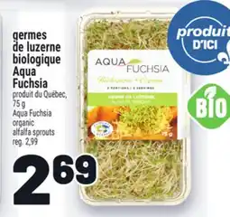 Metro GERMES DE LUZERNE BIOLOGIQUE AQUA FUCHSIA | AQUA FUCHSIA ORGANIC ALFALFA SPROUTS offer