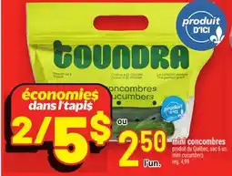 Metro MINI CONCOMBRES | MINI CUCUMBERS offer