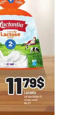 Metro LAIT SANS LACTOSE LACTANTIA offer