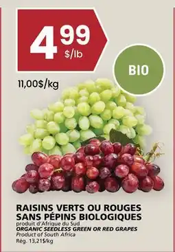 Rachelle-Bery Grocery ORGANIC SEEDLESS GREEN OR RED GRAPES offer