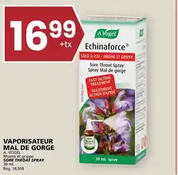 Rachelle-Bery Grocery A. VOGEL SORE THROAT SPRAY offer