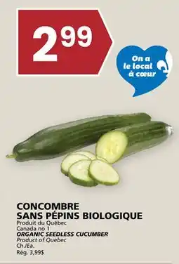 Rachelle-Bery Grocery ORGANIC SEEDLESS CUCUMBER offer