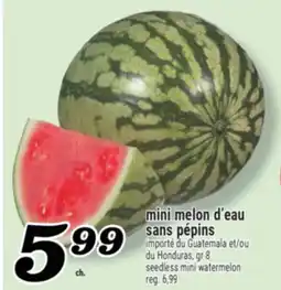 Marché Richelieu MINI MELON D'EAU SANS PÉPINS | SEEDLESS MINI WATERMELON offer
