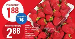 Maxi FRAISES, 1 LB offer
