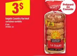 Maxi BAGELS COUNTRY HARVEST, 6 UN offer