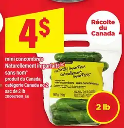 Maxi MINI CONCOMBRES NATURELLEMENT IMPARFAITS SANS NOM , 2 LB offer