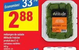 Maxi MÉLANGES DE SALADE ATTITUDE FRAÎCHE offer
