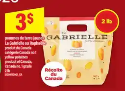 Maxi POMMES DE TERRE JAUNES LA GABRIELLE OU RAPHAËLLE | YELLOW POTATOES, 2 LB offer