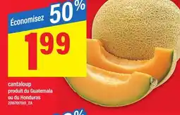 Maxi CANTALOUP offer