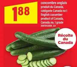 Maxi CONCOMBRE ANGLAIS | ENGLISH CUCUMBER offer