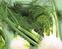 IGA FENNEL (ANISE) offer