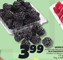 IGA BLACKBERRIES offer