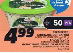 IGA FONTAINE SANTÉ GARLIC SAUCE, SPREAD, DIP OR TZATZIKI offer