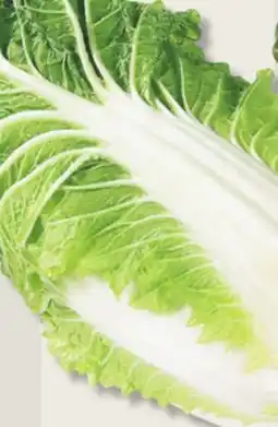 IGA NAPPA CABBAGE OR BOK CHOY offer
