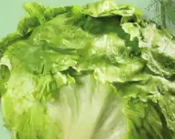 IGA ICEBERG LETTUCE offer