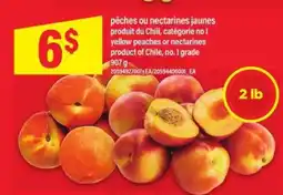 Maxi pêches ou nectarines jaunes offer