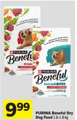 Foodland PURINA Beneful Dry Dog Food offer