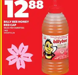 Loblaws BILLY BEE HONEY RED CAP offer