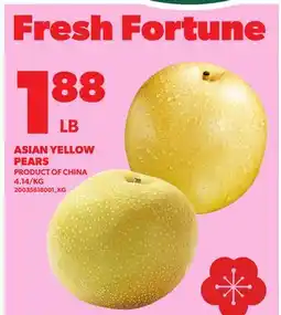 Loblaws ASIAN YELLOW PEARS offer