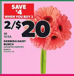 Loblaws GERBERA DAISY BUNCH offer