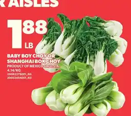 Loblaws BABY BOY CHOY OR SHANGHAI BOK CHOY offer