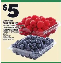 Loblaws ORGANIC BLUEBERRIES OR RASPBERRIES, HALF PINT offer
