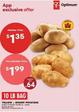 No Frills YELLOW or RUSSET POTATOES offer