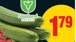 No Frills ENGLISH CUCUMBER offer