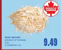 Wholesale Club BEAN SPROUTS, 5 lb offer