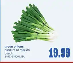 Wholesale Club GREEN ONIONS, BUNCH offer